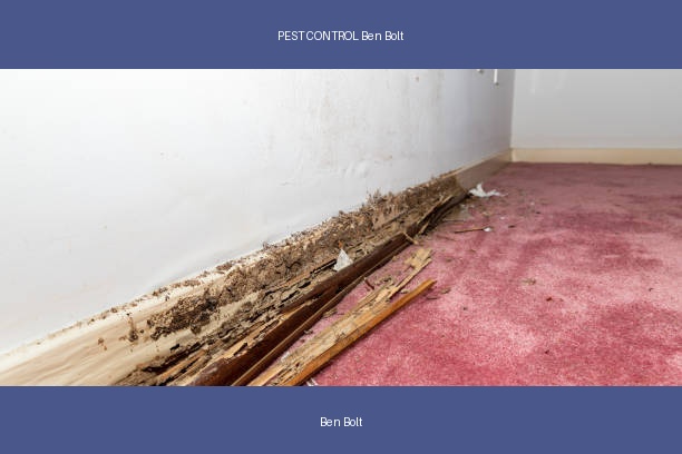 PEST CONTROL Ben Bolt